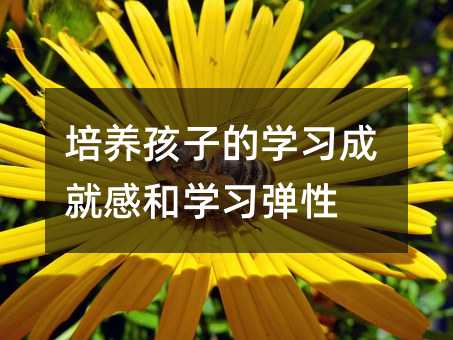 培养孩子的学习成就感和学习弹性