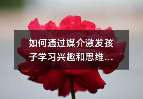 如何通过媒介激发孩子学习兴趣和思维能力