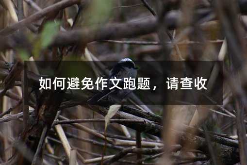 如何避免作文跑题,请查收
