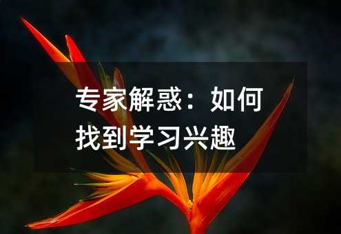 专家解惑:如何找到学习兴趣
