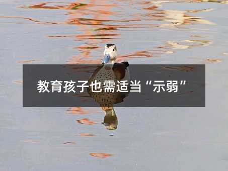 教育孩子也需适当“示弱”