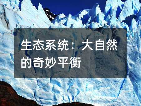 生态系统:大自然的奇妙平衡