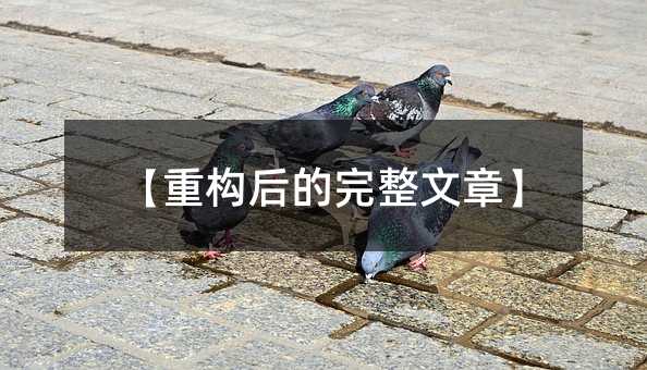 【重构后的完整文章】