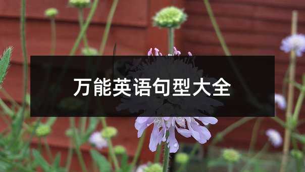 万能英语句型大全