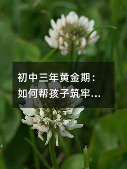 初中三年黄金期:如何帮孩子筑牢学习根基,避开“初二塌方“危机?