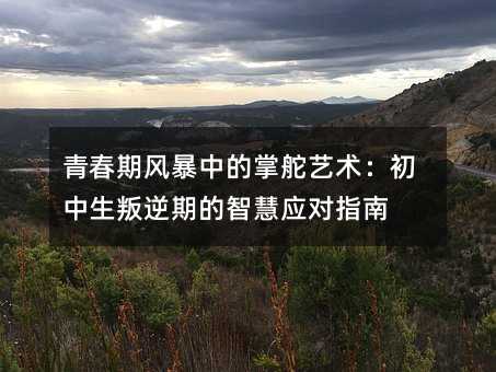 �ഺ�ڷ籩�е��ƶ������������������ڵ��ǻ�Ӧ��ָ��