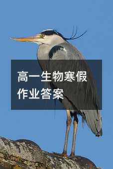高一生物寒假作业答案