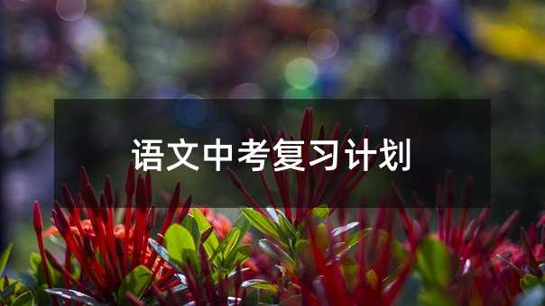 语文中考复习计划