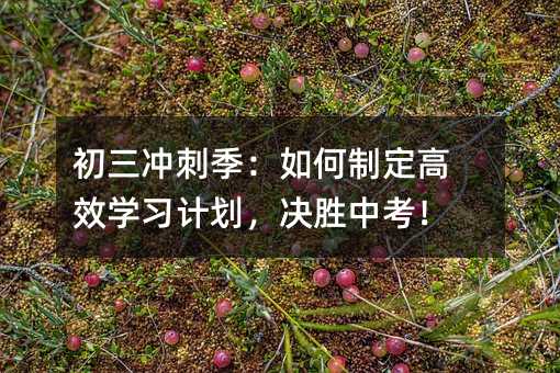 初三冲刺季:如何制定高效学习计划,决胜中考!