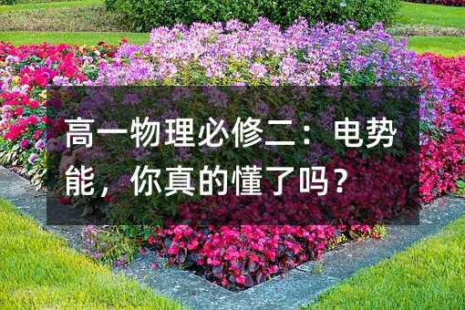 高一物理必修二:电势能,你真的懂了吗?