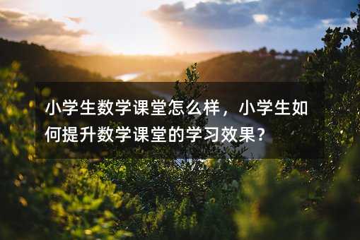 小学生数学课堂怎么样,小学生如何提升数学课堂的学习效果?