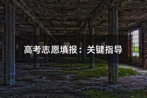 高考志愿填报:关键指导