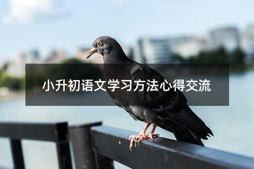 小升初语文学习方法心得交流