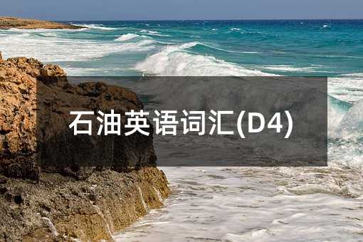 石油英语词汇(D4)