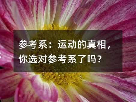 参考系:运动的真相,你选对参考系了吗?