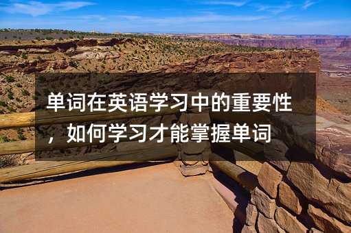 ������Ӣ��ѧϰ�е���Ҫ�ԣ����ѧϰ�������յ���