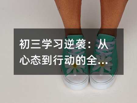 ����ѧϰ��Ϯ������̬���ж���ȫ����