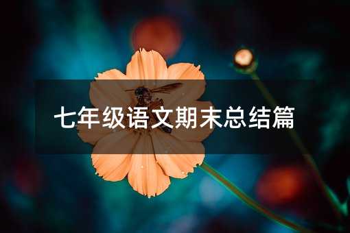 ���꼶������ĩ�ܽ�ƪ