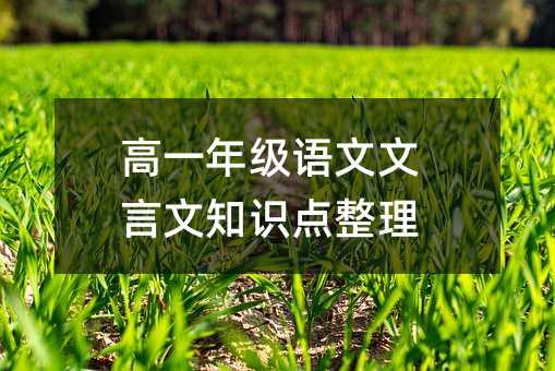 ��һ�꼶����������֪ʶ������