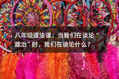 八年级道法课:当我们在谈论“政治”时,我们在谈论什么?