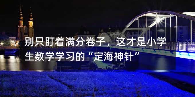 别只盯着满分卷子,这才是小学生数学学习的“定海神针”