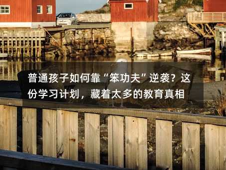 普通孩子如何靠“笨功夫”逆袭?这份学习计划,藏着太多的教育真相