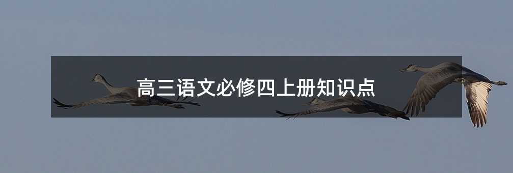高三语文必修四上册知识点
