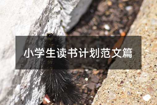 小学生读书计划范文篇