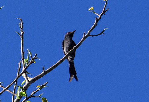 һ�꼶���ģ���һ������ϰ������Ȥ�ĳ�������